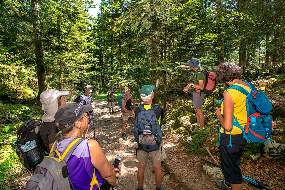 Chalet de la Haute-Joux Chalet de la Haute-Joux