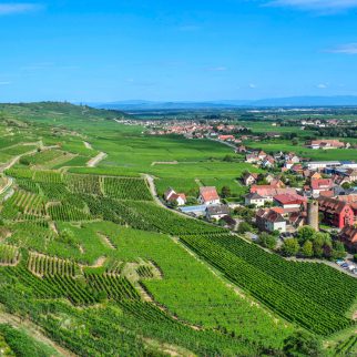 Domaine Saint-Jacques