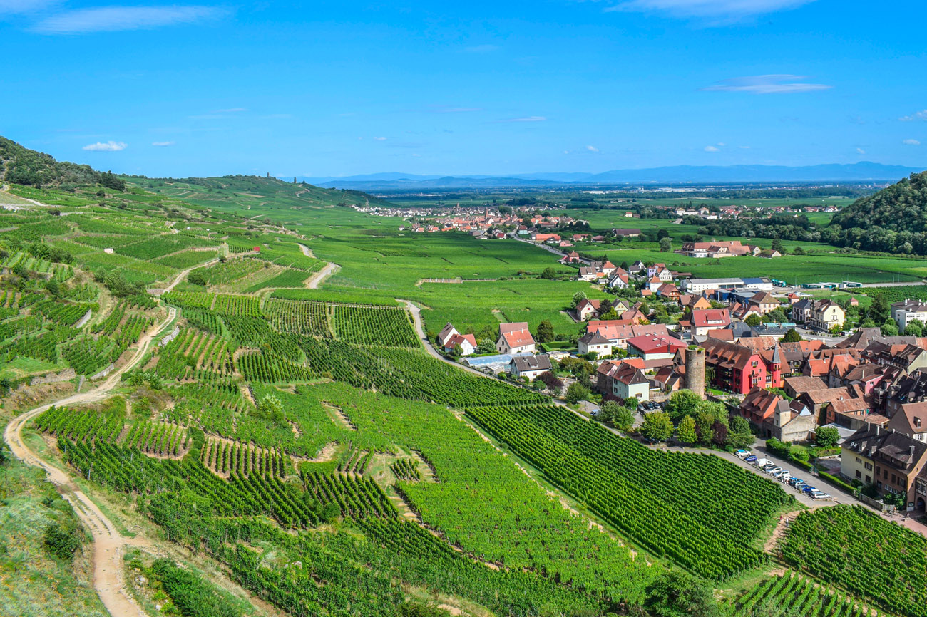 Domaine Saint-Jacques Domaine Saint-Jacques