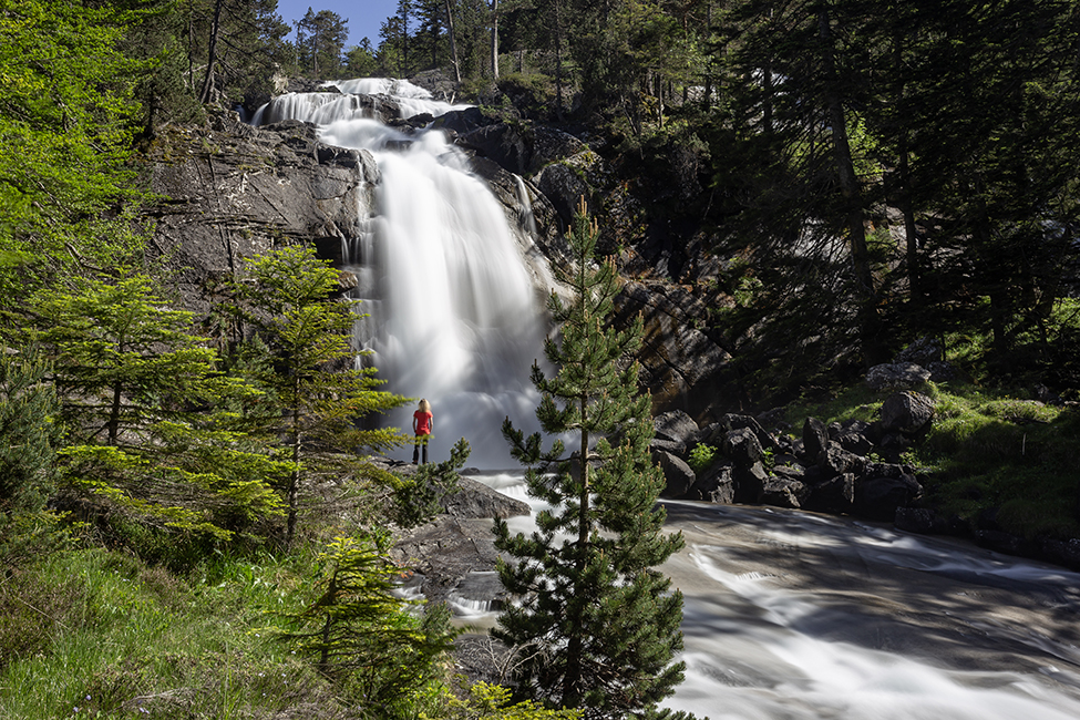 Domaine de Pyrène Domaine de Pyrène
