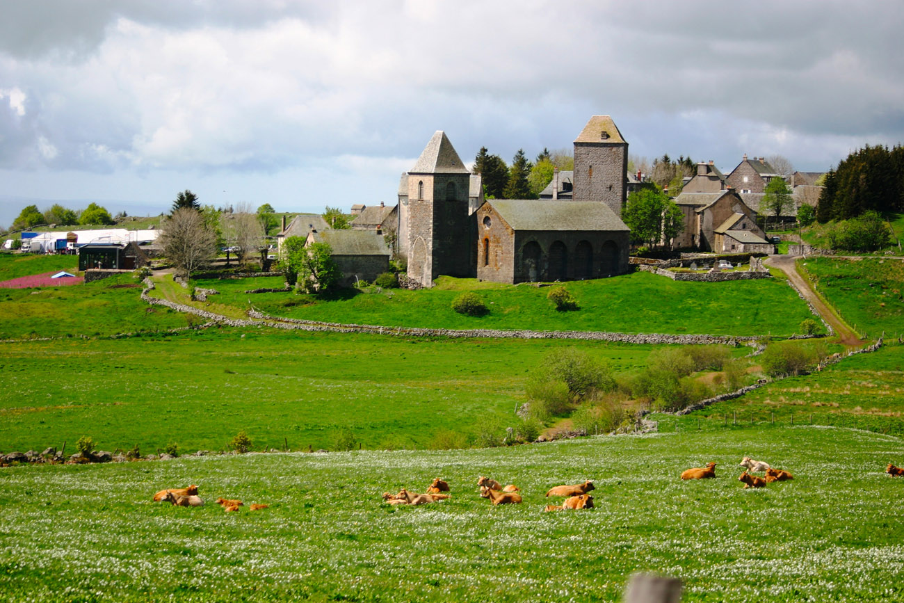 Fleurs d’Aubrac Fleurs d’Aubrac