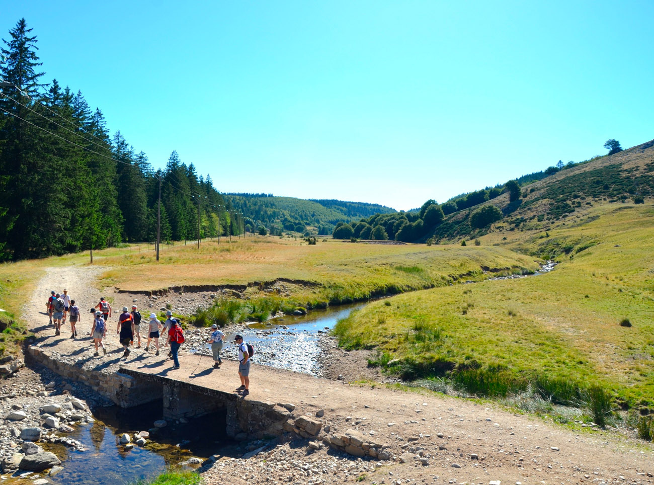 Fleurs d’Aubrac Fleurs d’Aubrac