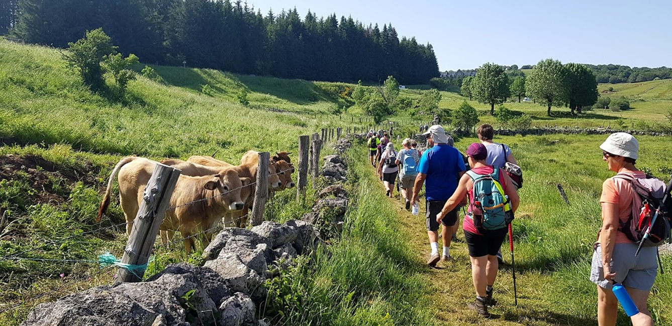Fleurs d’Aubrac Fleurs d’Aubrac