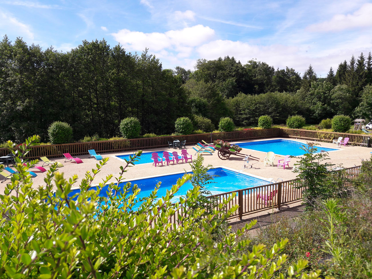 Fleurs d’Aubrac Fleurs d’Aubrac