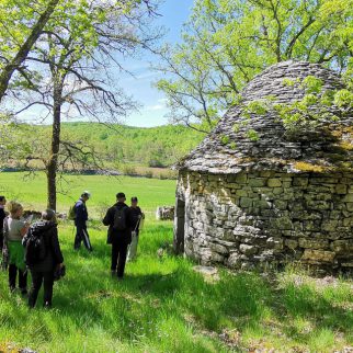 Domaine de la Châtaigneraie