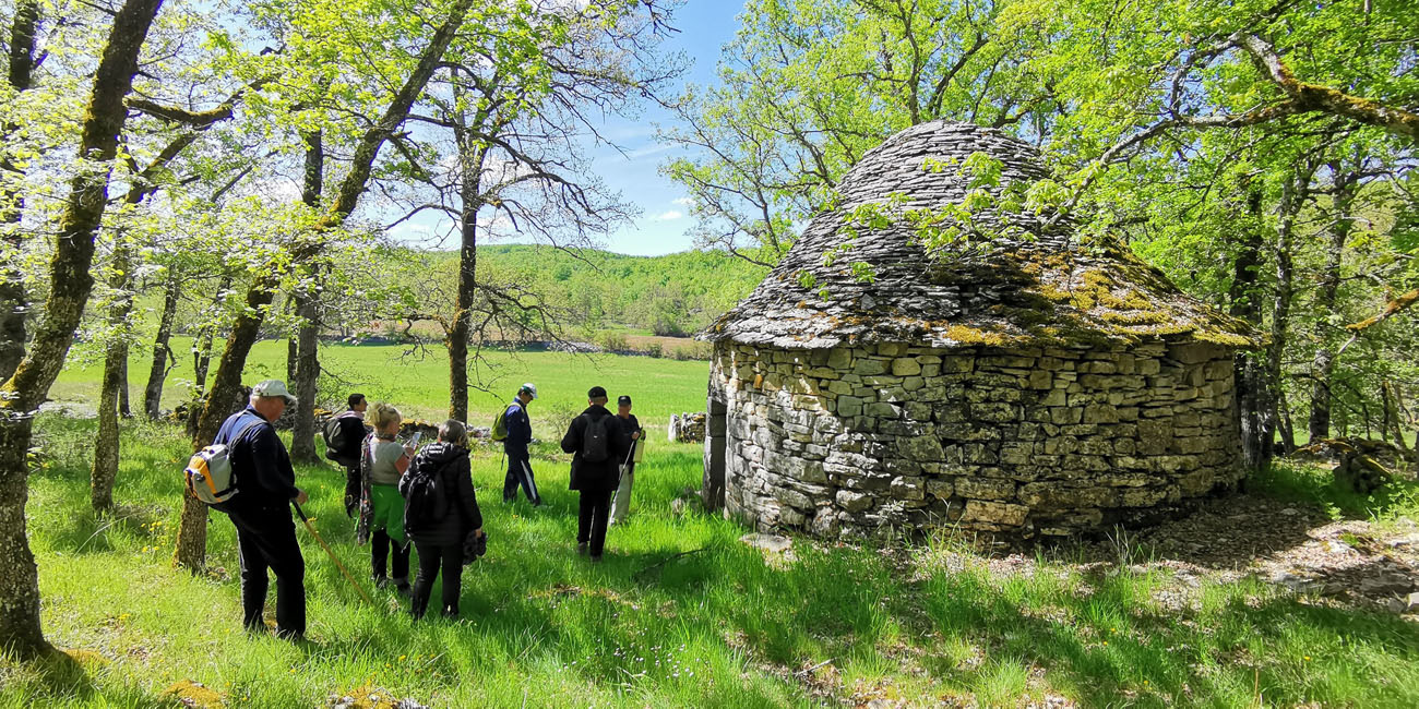 Domaine de la Châtaigneraie Domaine de la Châtaigneraie
