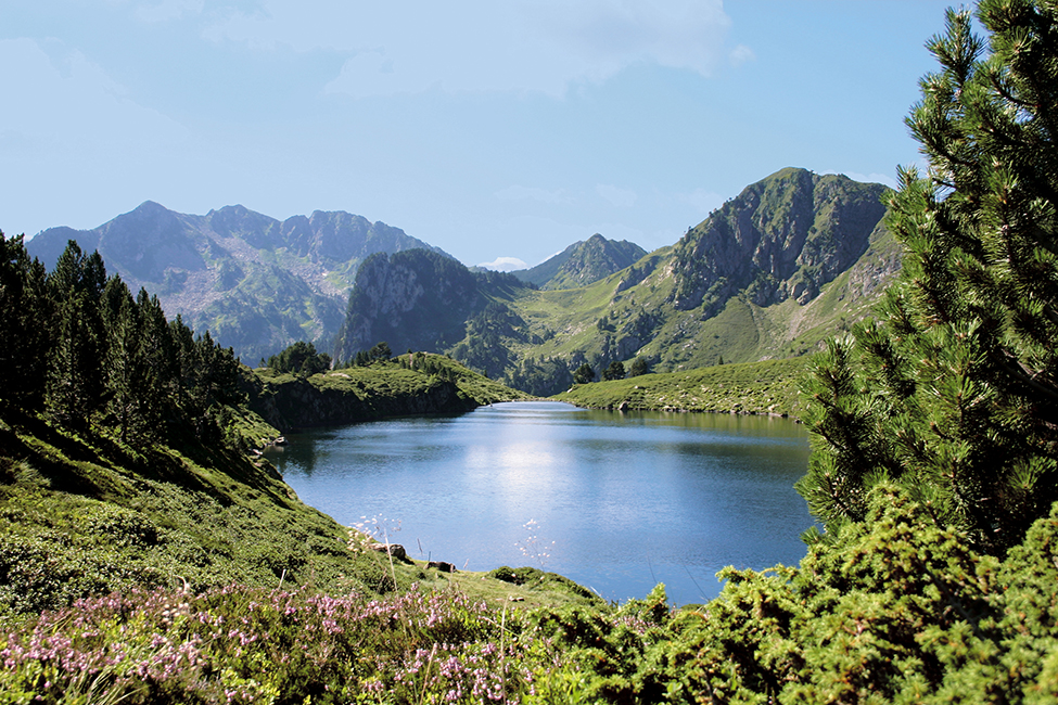 Le Tarbesou Le Tarbesou