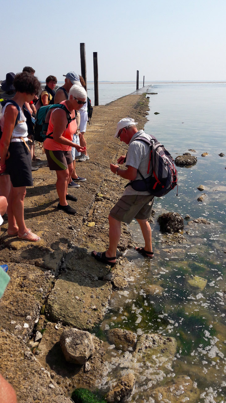 Les Buissonnets Les Buissonnets