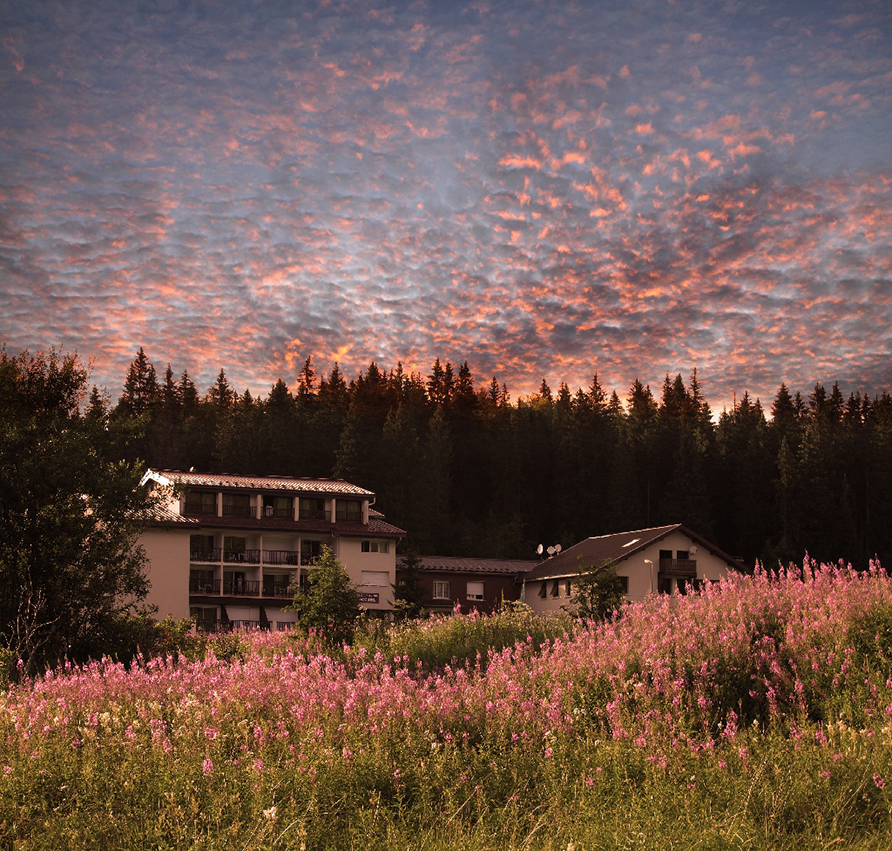 Neige et Plein Air Neige et Plein Air