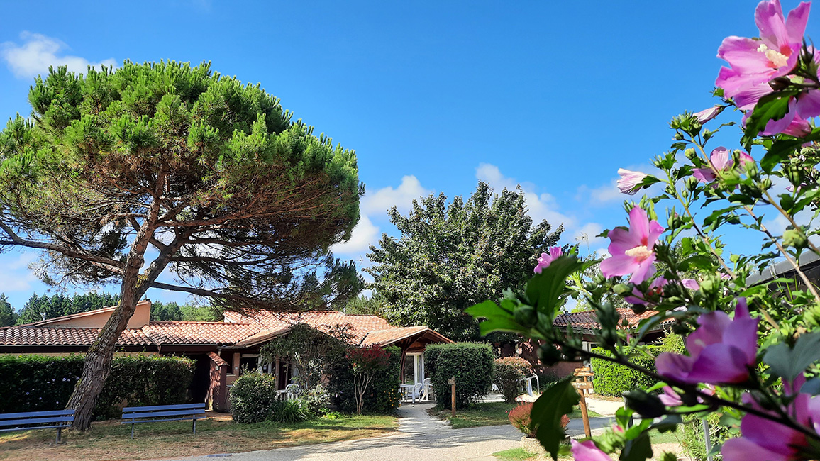 Relais du Moulin Neuf Relais du Moulin Neuf