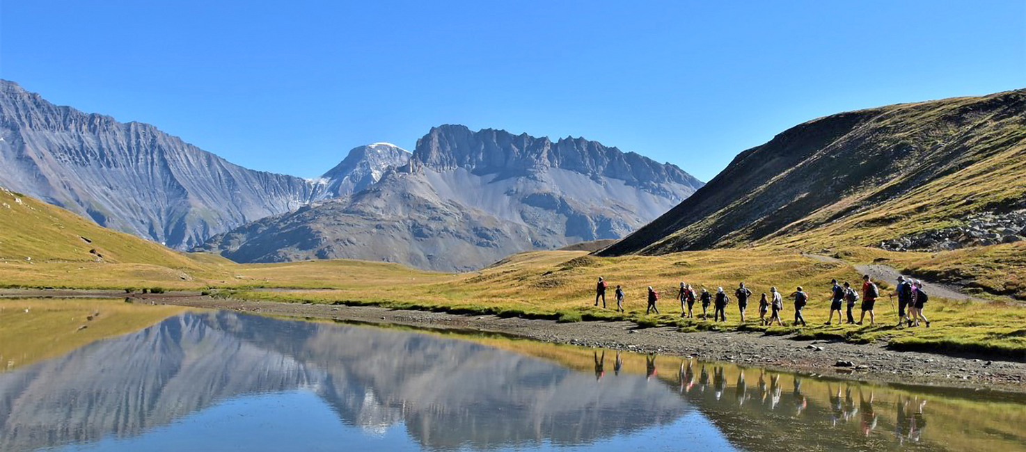 Fleurs et Neige Fleurs et Neige