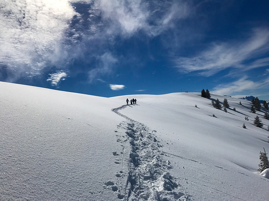 Fleurs et Neige Fleurs et Neige