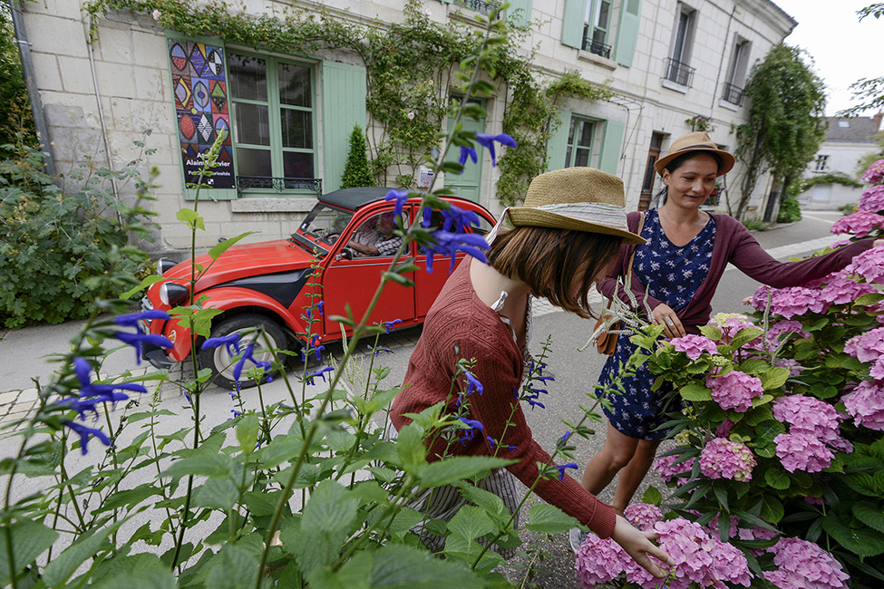 La Saulaie La Saulaie