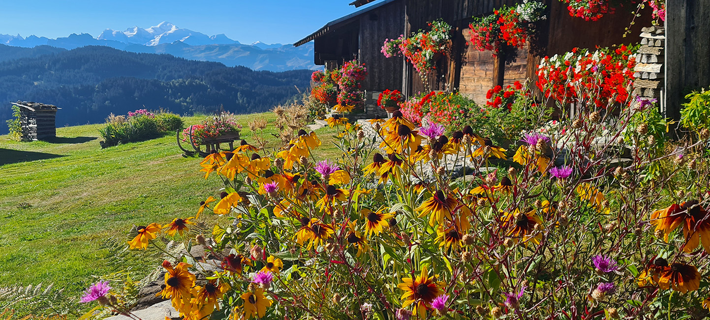 Le Bérouze Le Bérouze