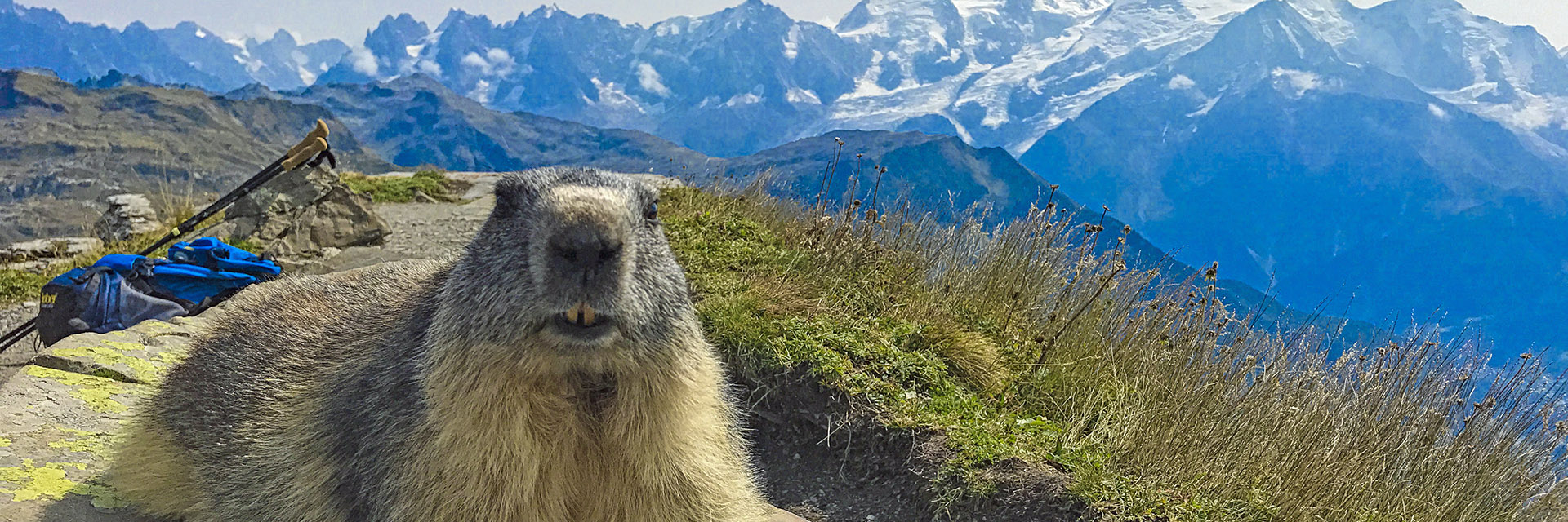 Le Salvagny Le Salvagny