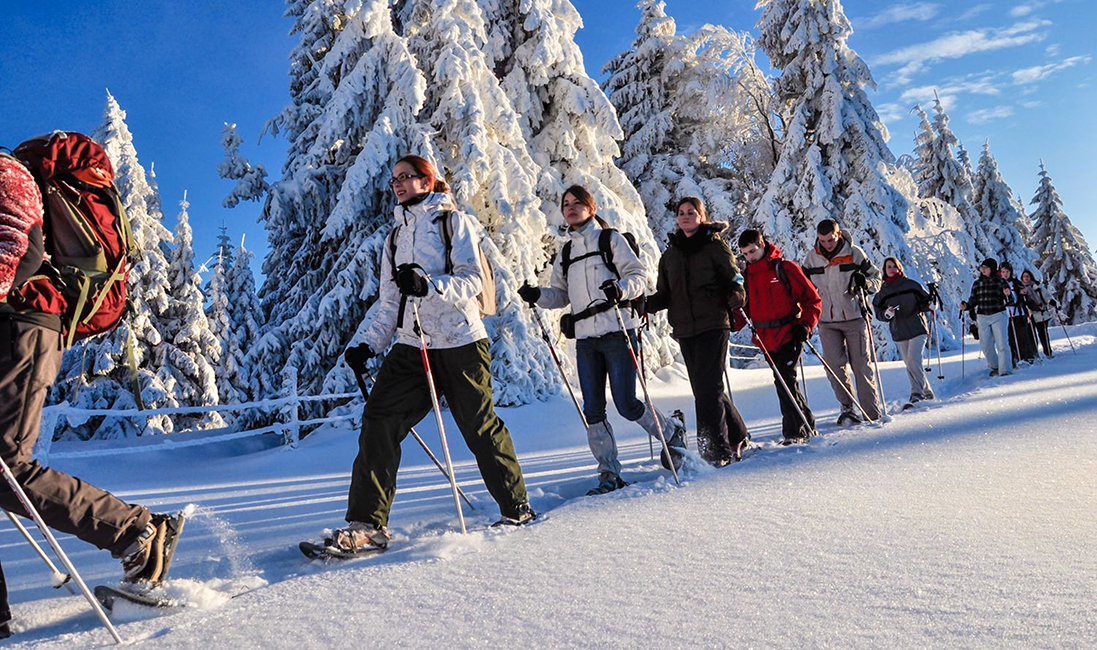 Les 4 Vents Les 4 Vents