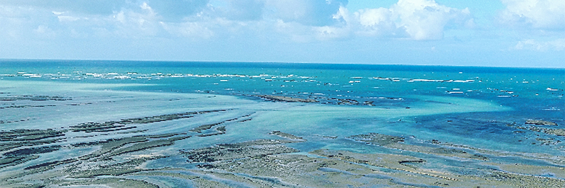 Les Buissonnets Les Buissonnets