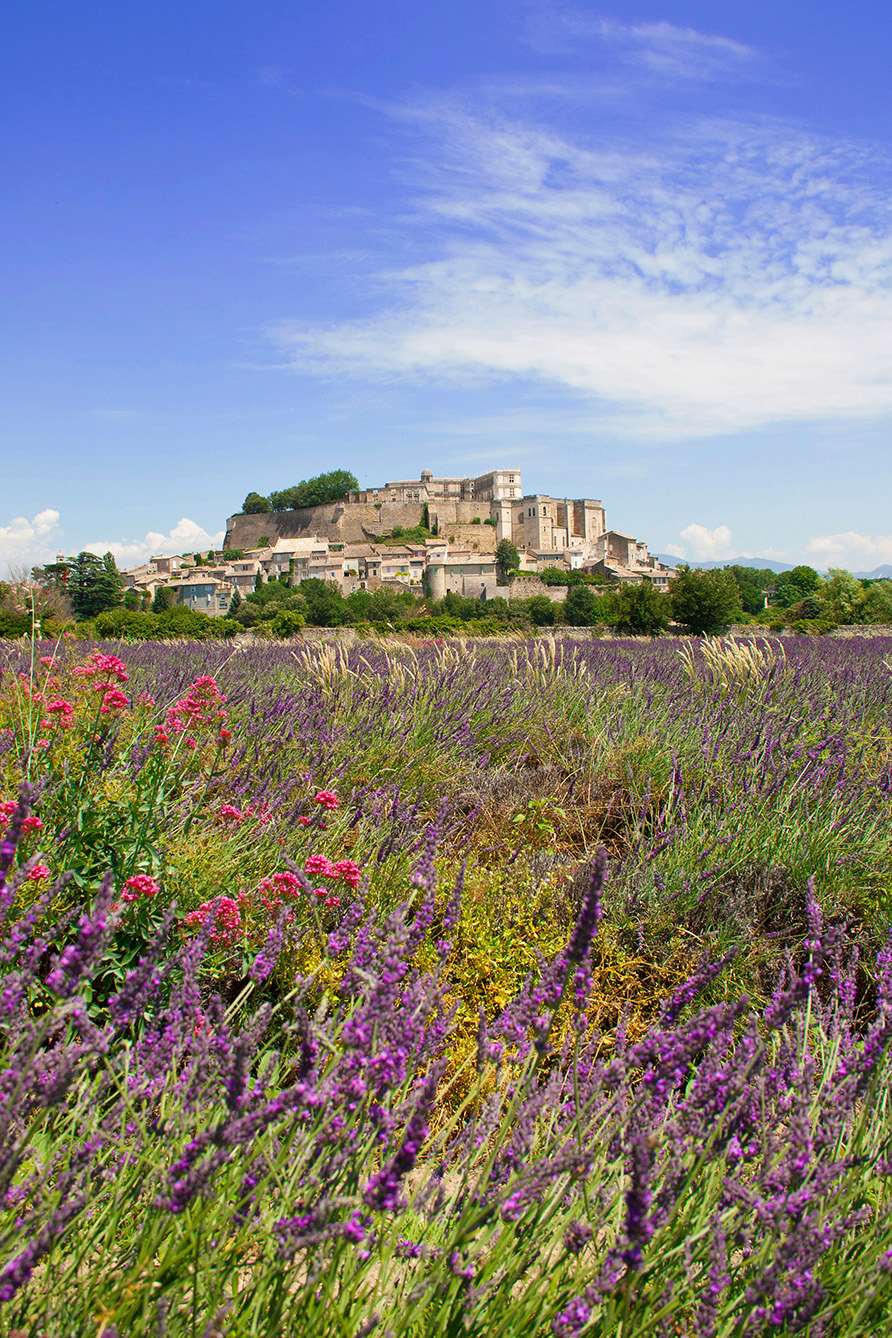 Les Lavandes Drôme Provencale Les Lavandes Drôme Provencale