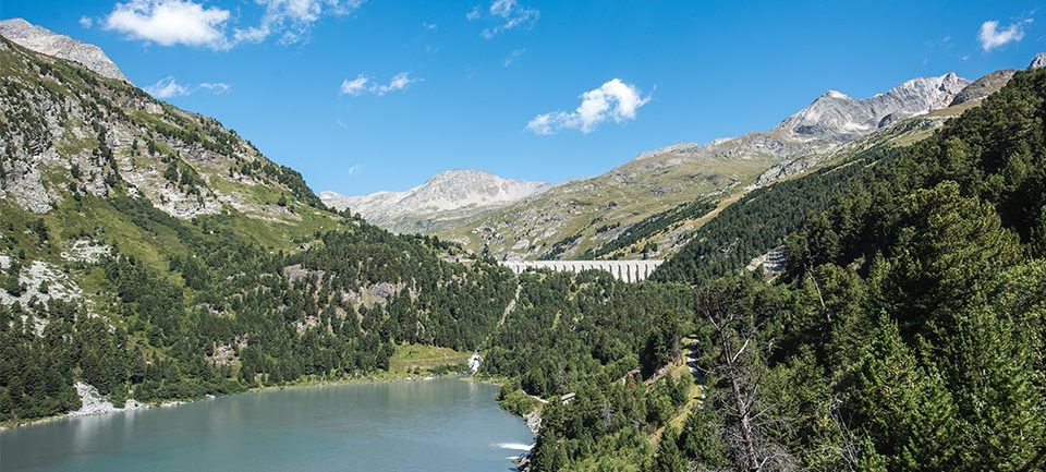 Village_club_vacances_savoie-vanoise-fleurs-et-neige-la-point-de-observatoire-incontournable-montagne-mont-blanc