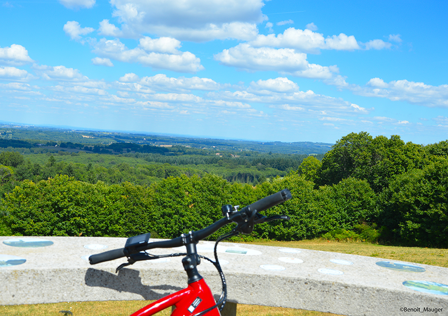 Le Souffle Vert Le Souffle Vert