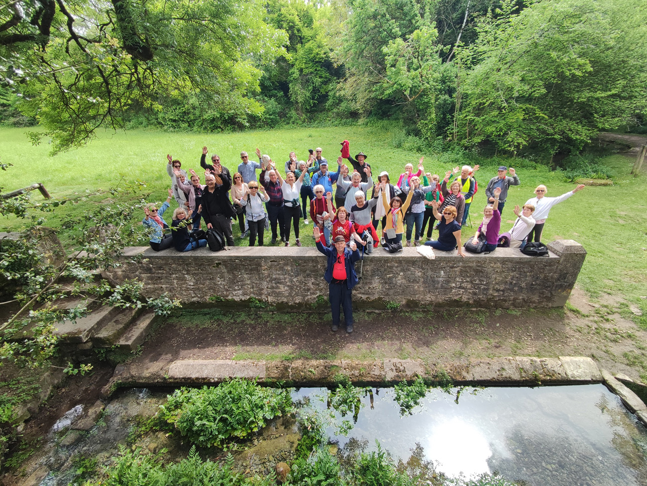 Les Chênes Verts Les Chênes Verts