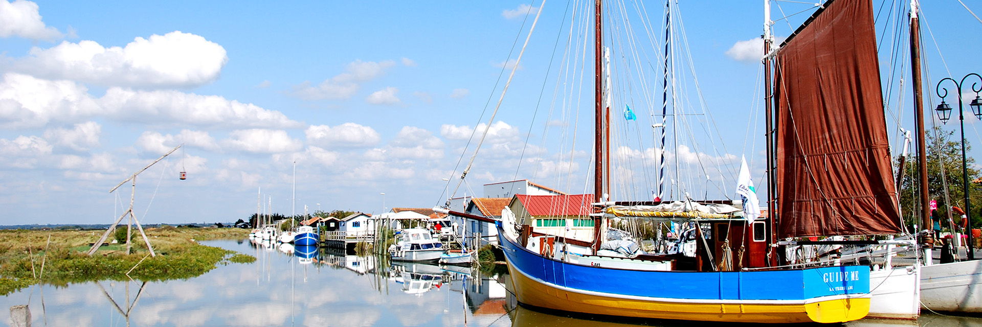 Les Chênes Verts Les Chênes Verts