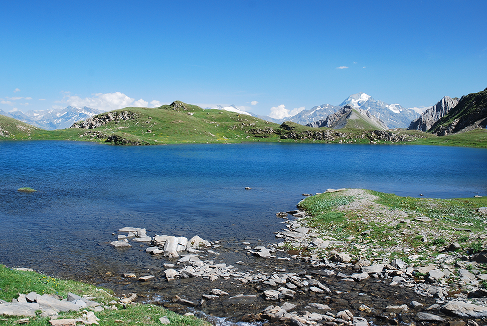 Chalet La Vigogne Chalet La Vigogne