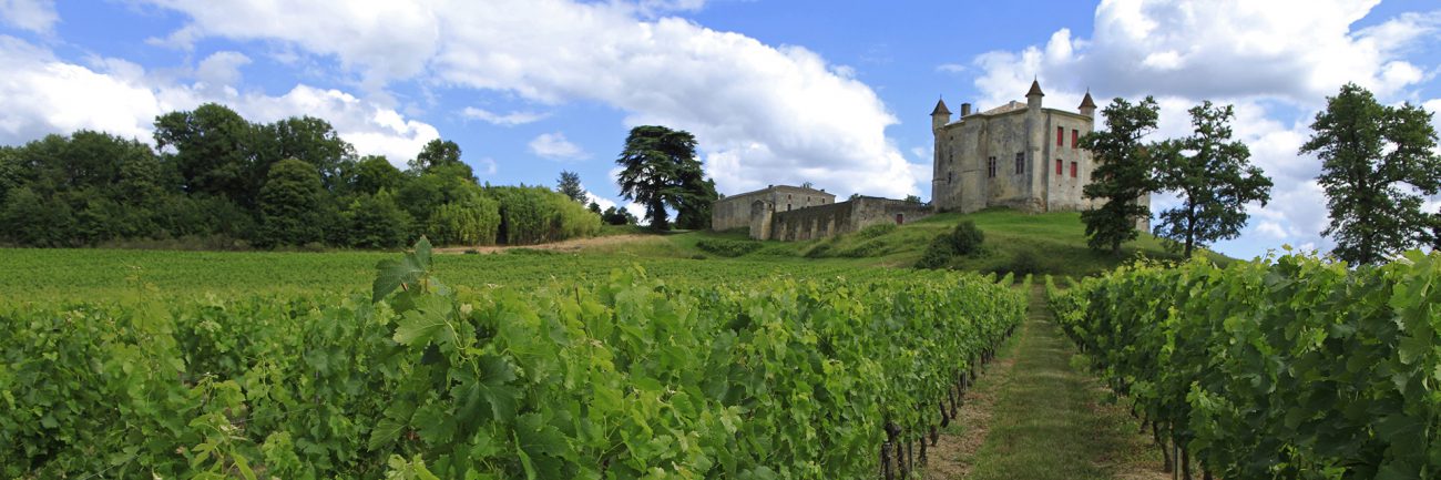 Savourez en groupe les spécialités gastronomiques du Sud-Ouest
