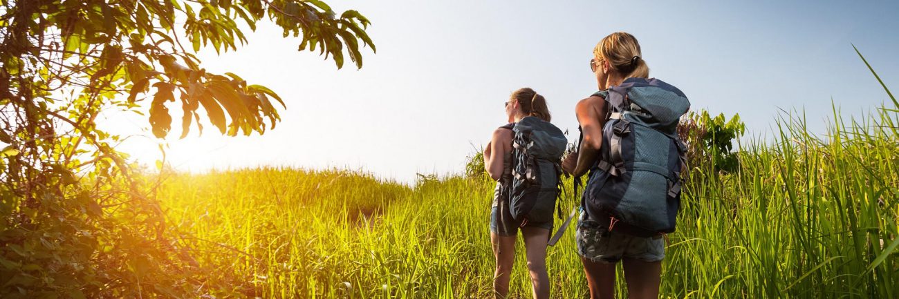 Séjour en groupe à la campagne : une expérience champêtre avec Capfrance !
