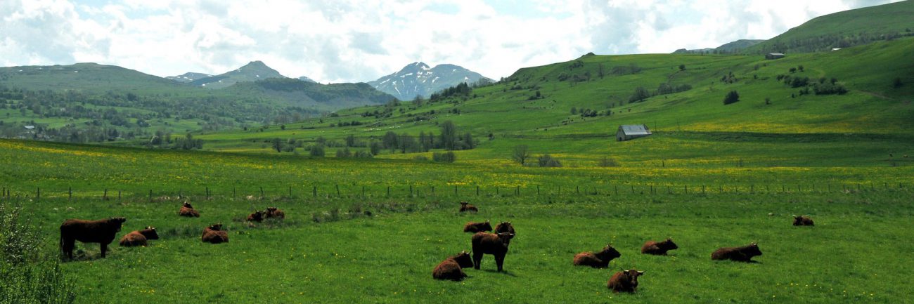 Randonnez en groupe dans le Massif Central