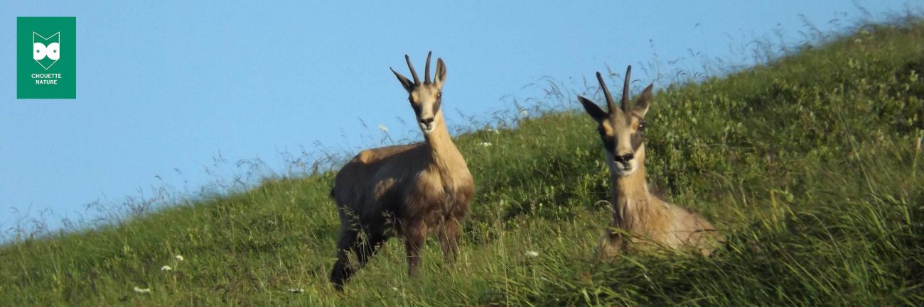 Nos séjours randonnées Chouette Nature