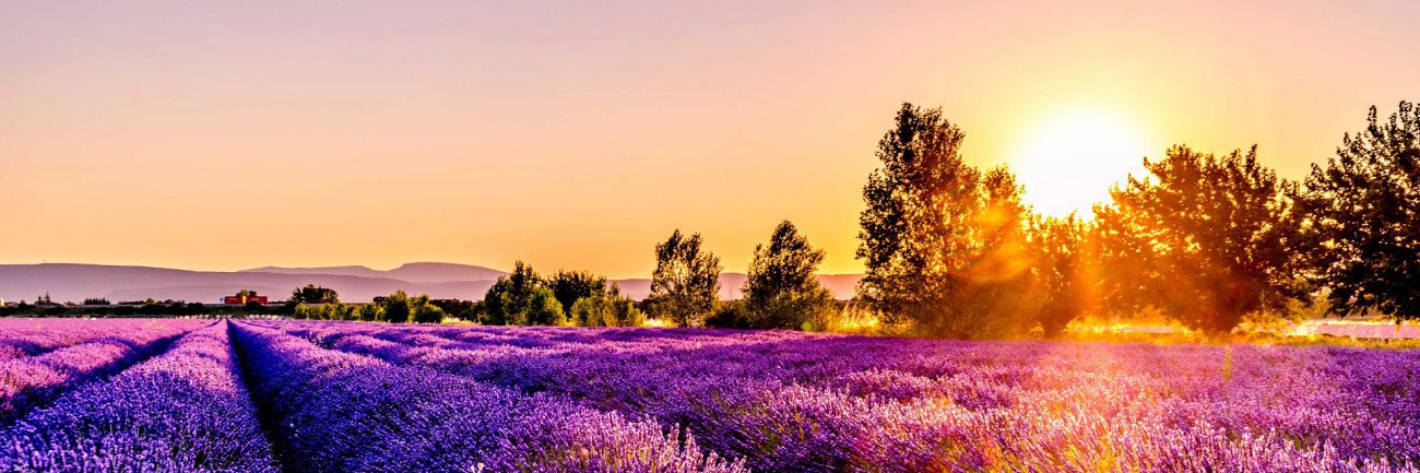 Randonnées douces en groupe