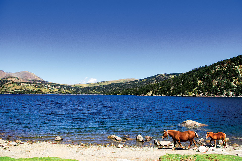 Chalet Ma Néou Chalet Ma Néou