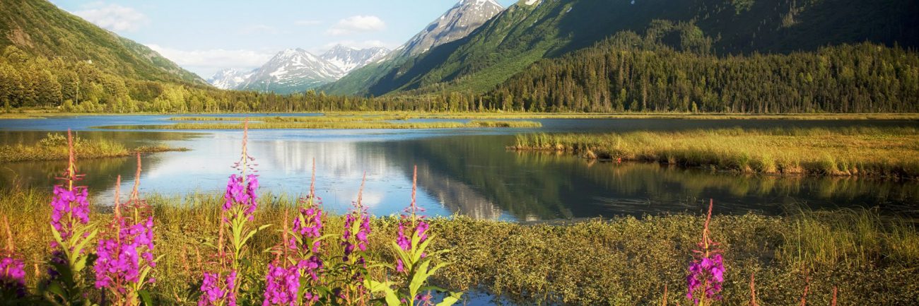 Séjours randonnées et bien-être en groupe