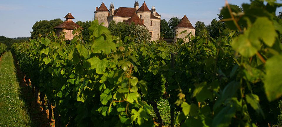 route-vins-sud-ouest-vignoble-chateau-lagrezette Vignoble du Château Lagrezette sur la Route du vin Cahors
