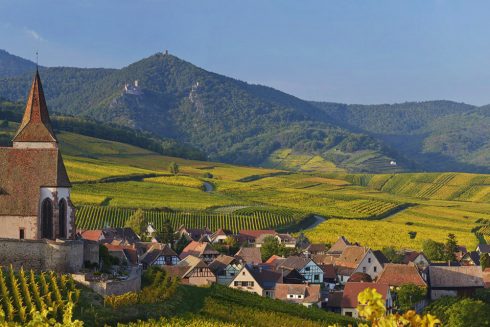 Sur les routes des vins de France en groupe