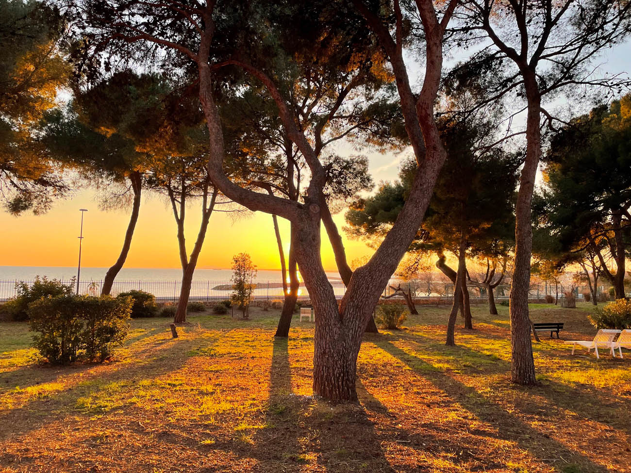Domaine du Lazaret Domaine du Lazaret