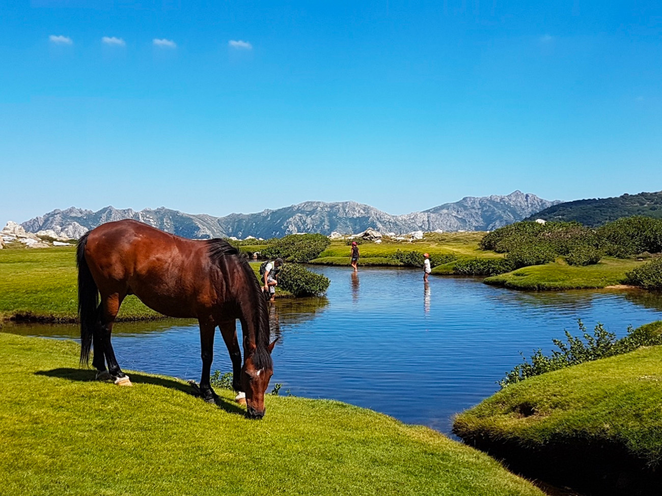 Marina d’Oru Corsica Resort Marina d’Oru Corsica Resort