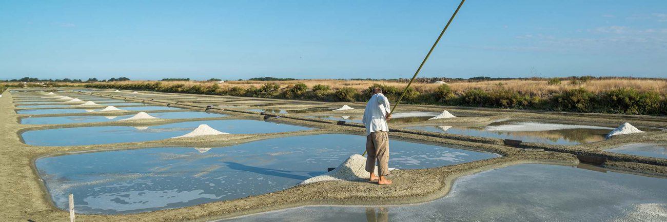 Les marais salants © ile-noirmoutier.com Les marais salants de l'Île de Noirmoutier