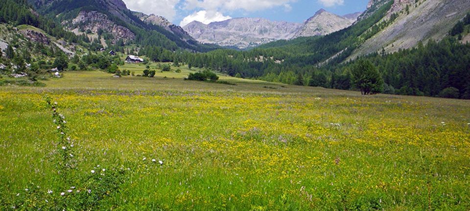 © Parc National du Mercantour Parc National du Mercantour