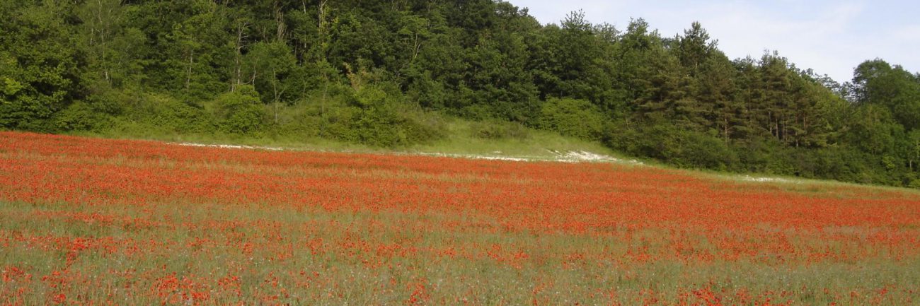 Top 50 des plus beaux sites naturels de France (5e partie)