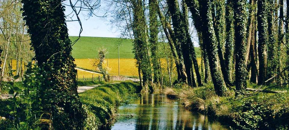 La Forêt d'Othe © Aube Champagne La Forêt d'Othe