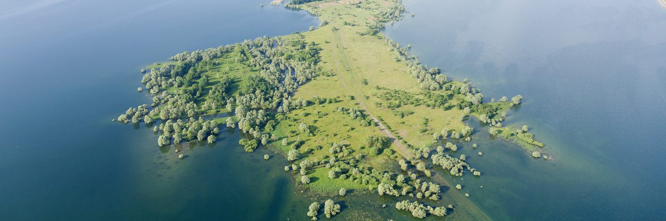 La Pointe de Charlieu © RNN de la Forêt d'Orient - Pascal Bourguignon La Pointe de Charlieu