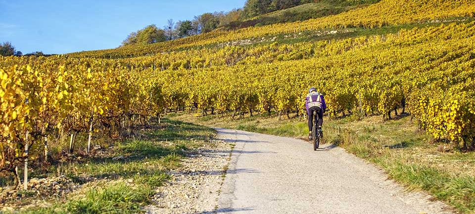 Vignoble du Jura Vignoble du Jura