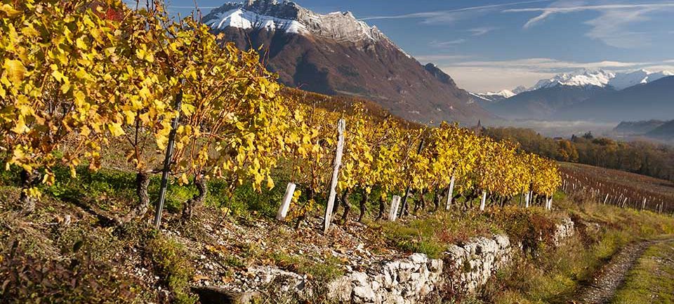 La combe de Savoie La combe de Savoie