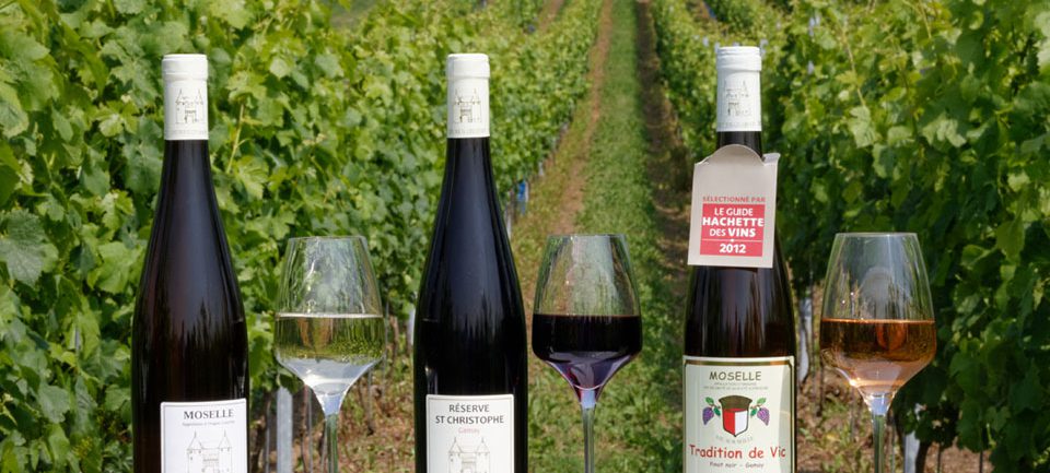 Domaine Dietrich - Vic-sur-Seille Domaine Dietrich - Vic-sur-Seille