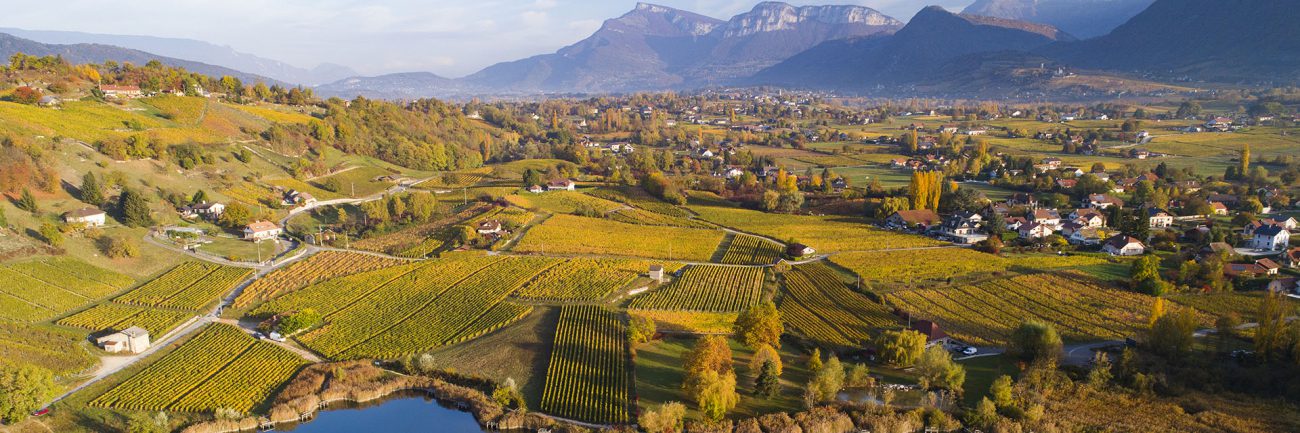 Gastronomie : au grand jeu de l&rsquo;association des mets et des vins