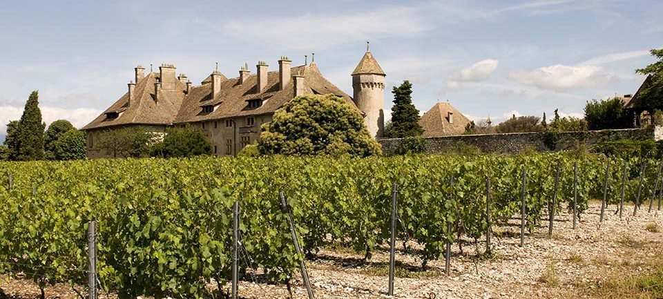 Le château de Ripaille Le château de Ripaille