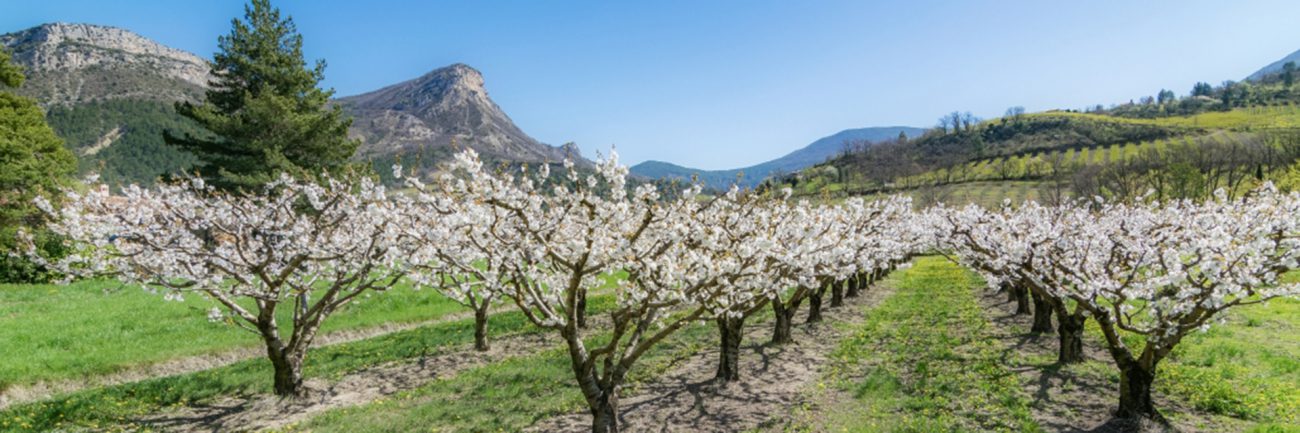 Un petit tour dans les Parcs Naturels Régionaux