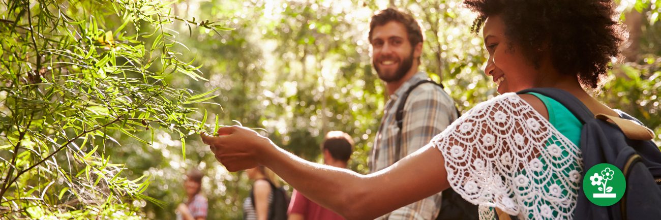 Randonnées et découvertes botaniques en groupe